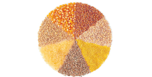  Kenya: Iranian Firms Plan to Grow Rice, Corn and Wheat in the Region