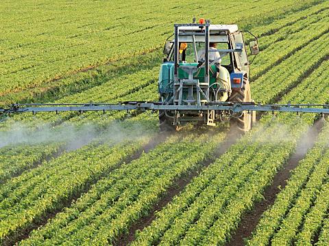  Agricultural growth projected for 6th Plan