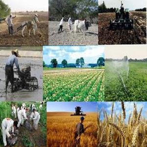 Riyadh agriculture show set to explore investment strategies 