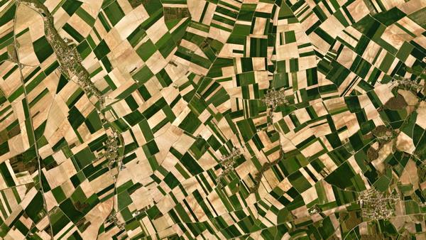  FAO assists Iran in improving agriculture monitoring systems via satellite imagery