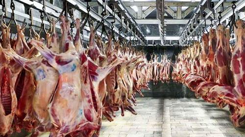  Iran temporarily bans imports of meat due to oversupply