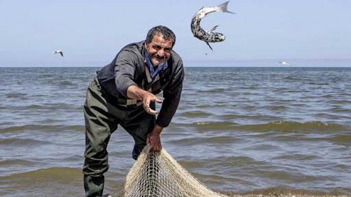  Re-export of Iranian fishery products to EU begins