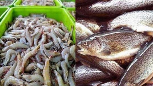  Q1 Seafood Exports Top $37m