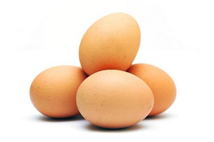 560 tons eggs exported to Iraq from Semnan 