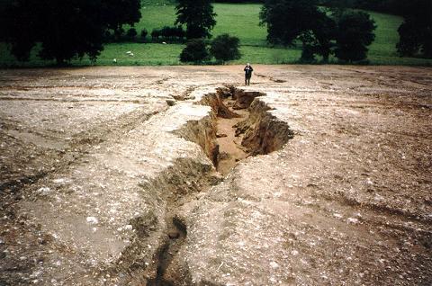 33 percent of Global Land is Moderately to Highly Degraded 