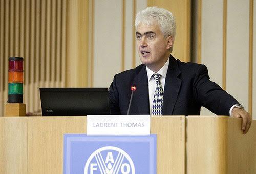 FAO Appeals for $87 million to Support 3 million Syrians 