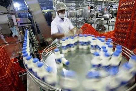 Over 3,000 tons dairy products exported to Iraq 