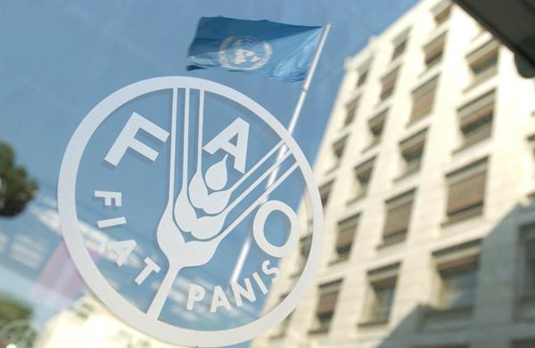  Food and Agriculture Organization of the United Nation published the FAO Food Price Index