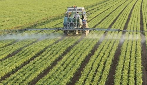 Iran agricultural products to reach 9 mln tons 