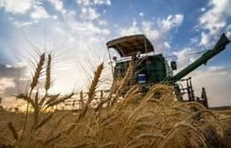  Iran exports first wheat cargo in years