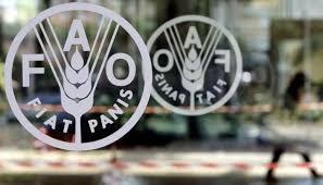  Wheat, meat push FAO Food Price Index higher in June