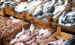  Seafood Output Target: 1.6m Tons p.a. by 2022