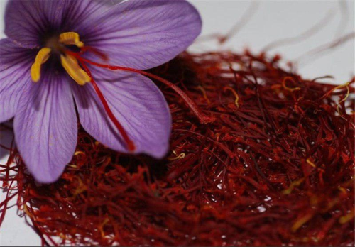 Export of 20kg of saffron to USA 