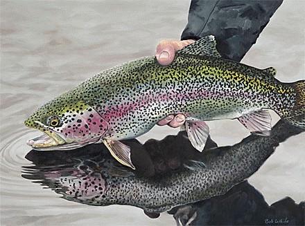  Trout Exports Expected to Reach 30K Tons