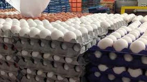  Egg Imports Allowed During Bird Flu Outbreak