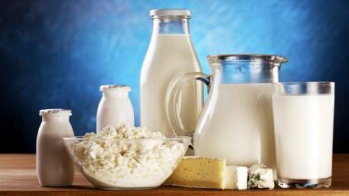  Iran to uplift dairy, fishery exports to Russia