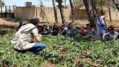  FAO promotes food education in Syrian schools