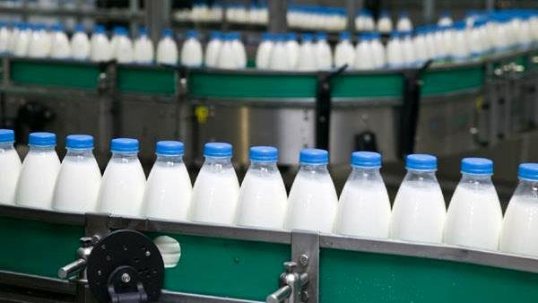 Iran exports dairy products to Russia 