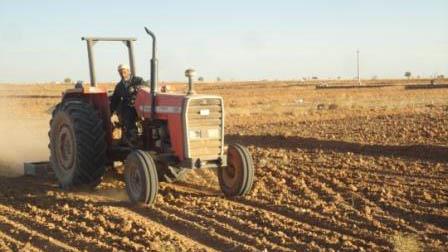 Wheat Cultivation Set to Begin 