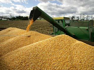 Livestock, corn, wheat, beans, soya and rice, five main items of imports of 9 months 