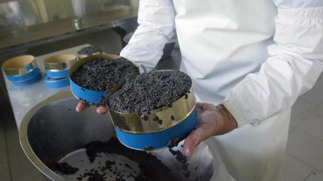 Iran’s Prized Caviar Makes Global Comeback 