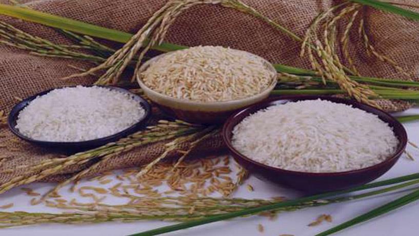Vietnam to Begin Rice Exports to Iran 