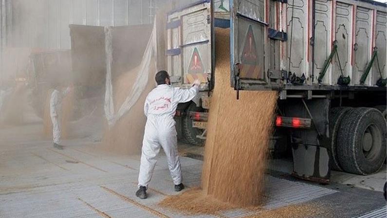  Russia Grain Exports to Iran Reach 220K Tons