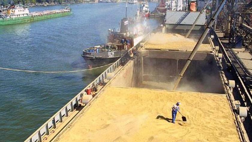  Iran's exported wheat arrives in Italian Bari Port