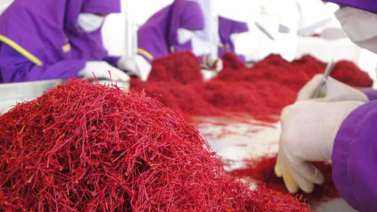  Saffron Exported to 58 Countries