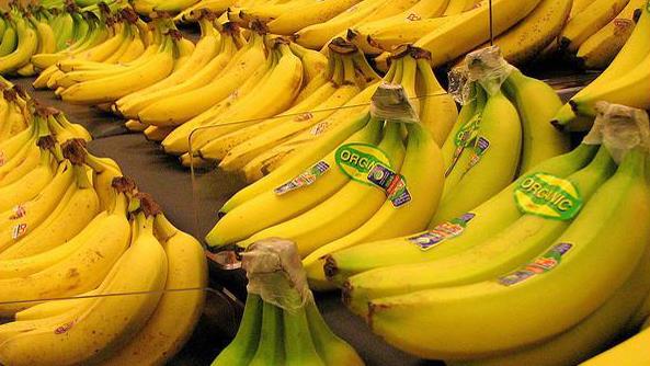  Bananas Vs. Oranges