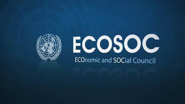  Iranian private association joins UN’s ECOSOC