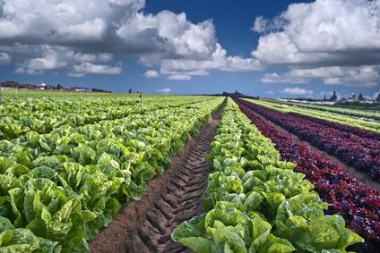 Kazakhstan pave the way for Food and Agricultural Cooperation with Iran 