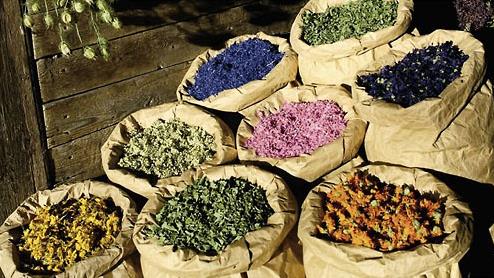  Iran exports $400 million of medicinal plants annually