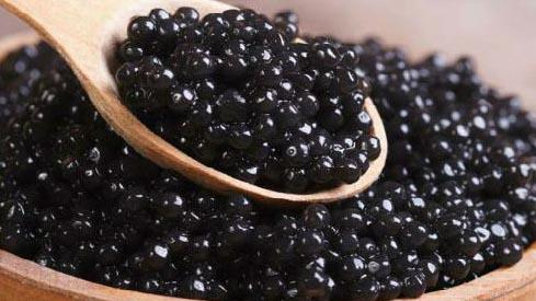  Caviar Exports to US After 25 Years