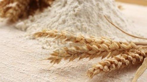  170K Tons of Wheat Flour Exported