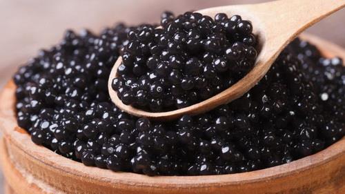  Iran's farmed caviar hits 5 tons in production, 1.2 in exports in 2017