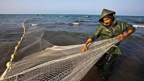 Head of Iran’s Fisheries Org.: US JCPOA exit to have no effect on export of aquatic animals