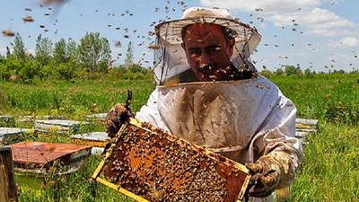  Iran ranks 4th in world in honey production