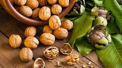  Iran, world’s 3rd largest walnut producer