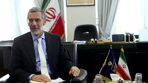  Italy determined to maintain economic ties with Iran: Envoy