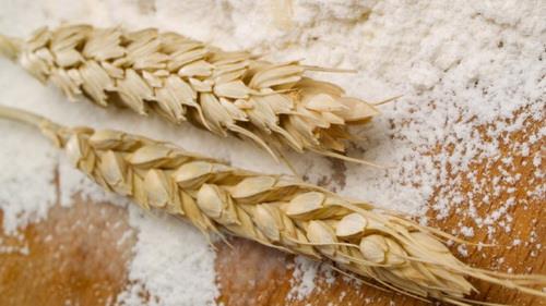  Wheat Flour Exports Earn $20 Million