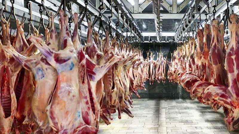 In five-month period:  Frozen beef imports up by 7 percent