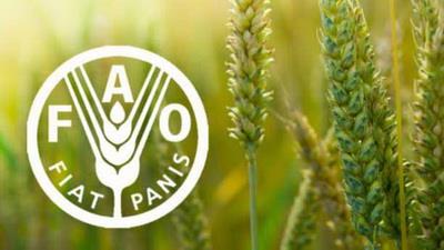  FAO Forecasts Iran’s Cereal Output to Rise 12 percent in 2018