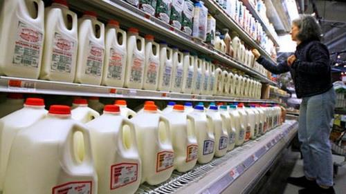  Dairy Exports Hinder US-Canada Deal