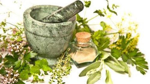  877,000 Kg of Iranian medicinal plants exported