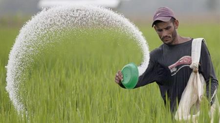  Iran to export fertilizer technology to Indonesia