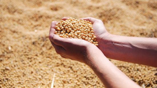  Iran no. 1 buyer of US soybeans in August
