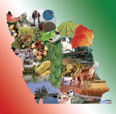 Iran cuts agricultural imports by $5mn 