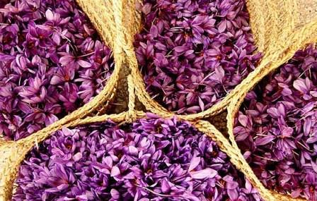  Saffron exports value up by 46 percent in first 8 months