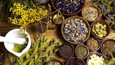  Export value of medicinal herbs at $300 million